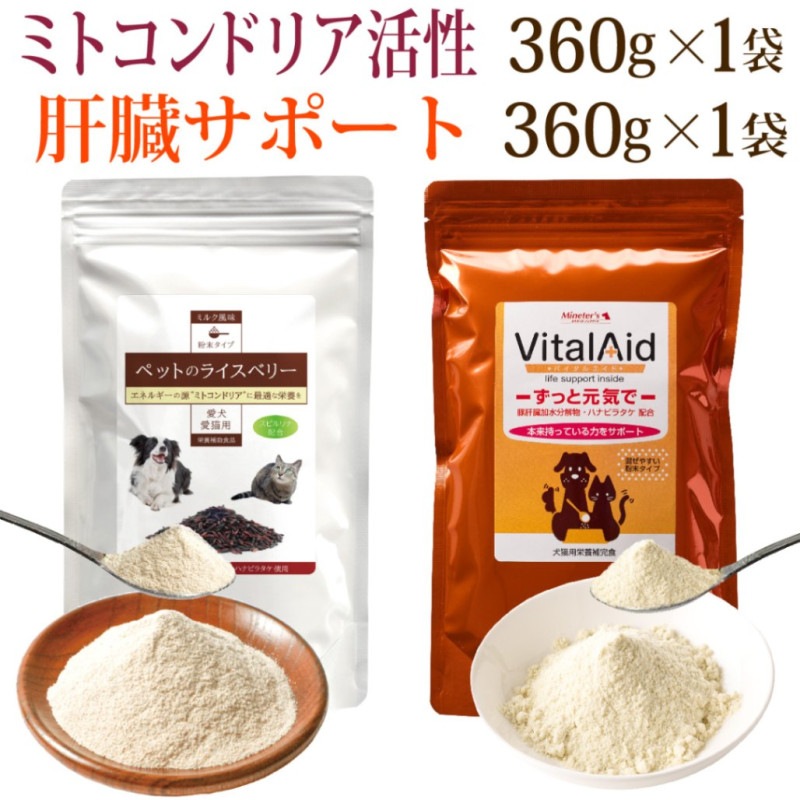 �ڥ��åȤǤ����ۥڥåȤΥ饤���٥꡼��360��ˡ��Х����륨���ɡ�360���