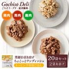 ����������15�󥪥ա���2�ޤ��ޤ��ۤ����������ǥꡡ20�ĤޤȤ��㤤