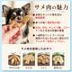 ����»����������㡼�����ʤ��餫��ˡ�40���