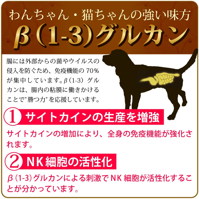 ����Ź���ǰ��͡�5��OFF�ۥڥåȤΥϥʥӥ饿��