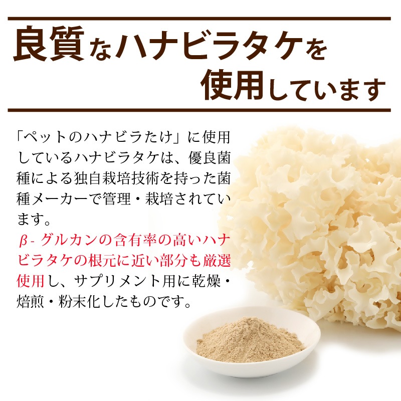 ����Ź���ǰ��͡�5��OFF�ۥڥåȤΥϥʥӥ饿��