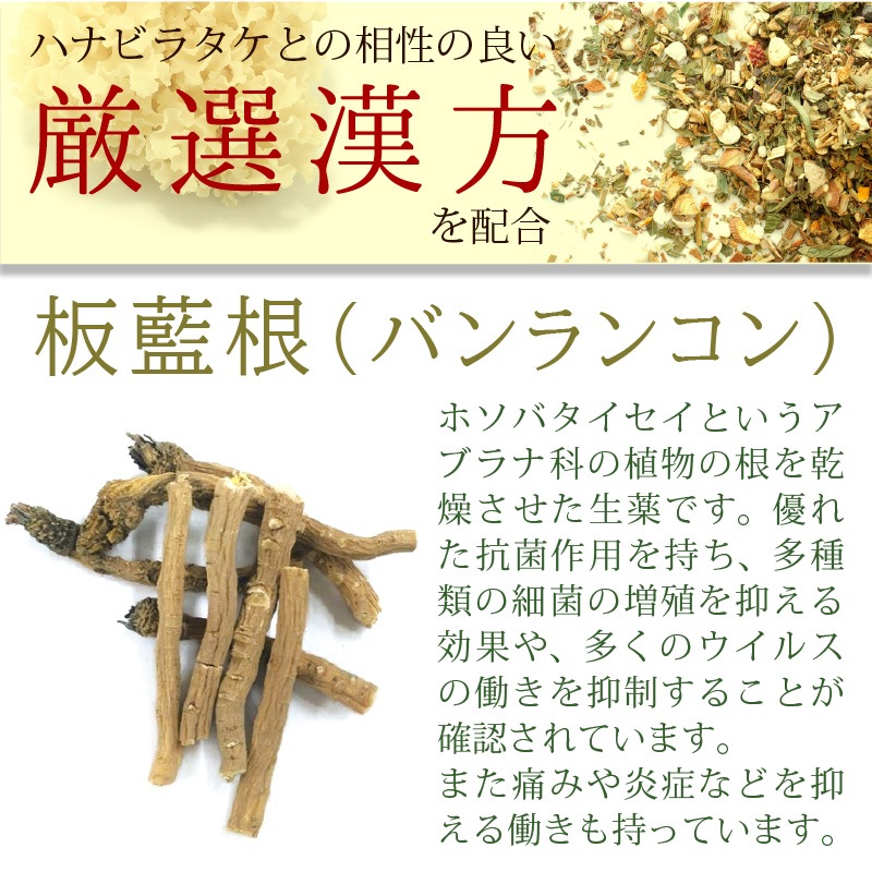 ����Ź���ǰ��͡�5��OFF�ۥڥåȤΥϥʥӥ饿��