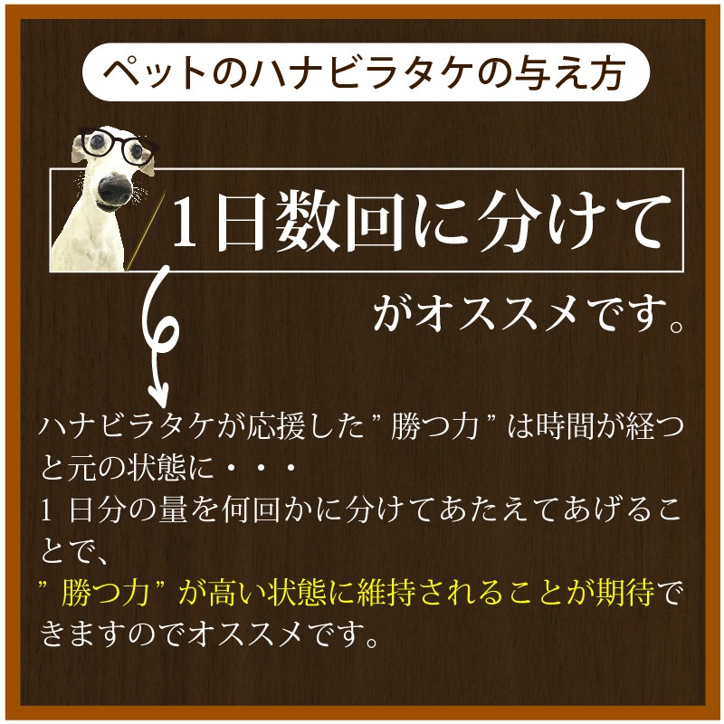 ����Ź���ǰ��͡�5��OFF�ۥڥåȤΥϥʥӥ饿��