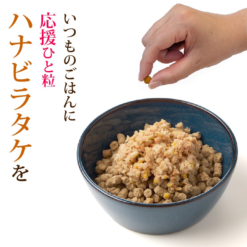 ����Ź���ǰ��͡�5��OFF�ۥڥåȤΥϥʥӥ饿��