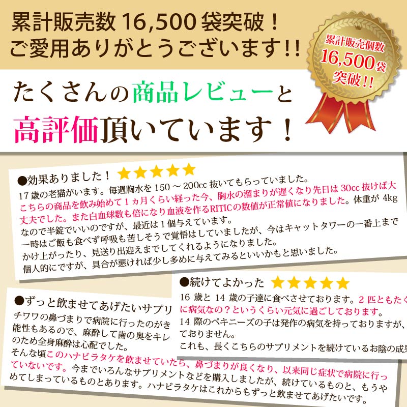 ����Ź���ǰ��͡�5��OFF�ۥڥåȤΥϥʥӥ饿��