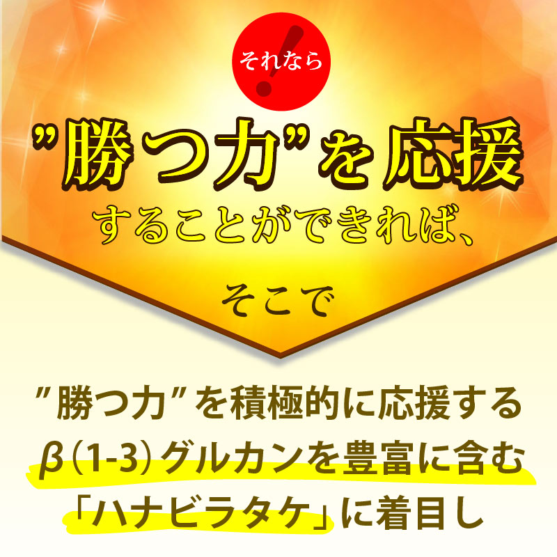 ����Ź���ǰ��͡�5��OFF�ۥڥåȤΥϥʥӥ饿��