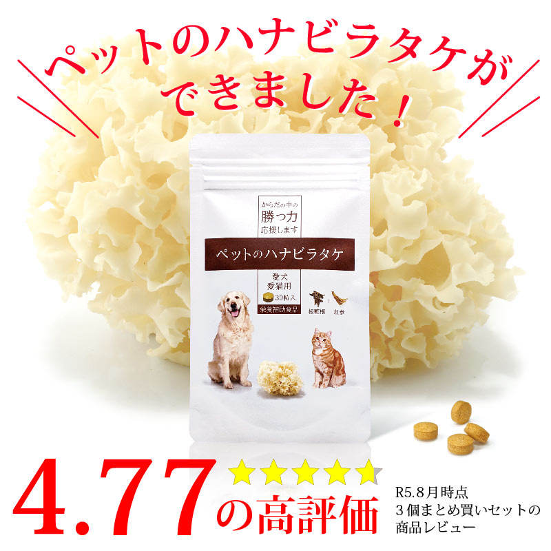 ����Ź���ǰ��͡�5��OFF�ۥڥåȤΥϥʥӥ饿��