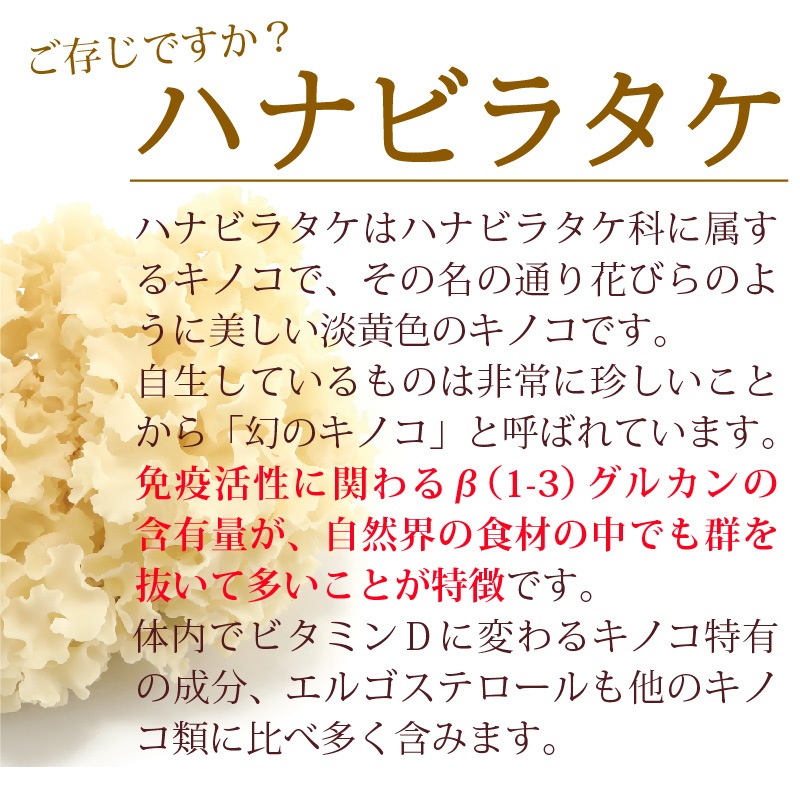 ����Ź���ǰ��͡�5��OFF�ۥڥåȤΥϥʥӥ饿��