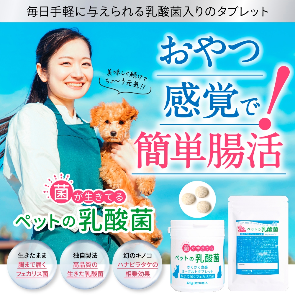 ݰ90ǯϷݥ᡼ȶƱȯۡڥ᡼б۸ǭѡڥåȤݡ30ˡ60γ