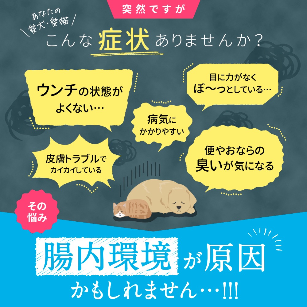 ݰ90ǯϷݥ᡼ȶƱȯۡڥ᡼б۸ǭѡڥåȤݡ30ˡ60γ