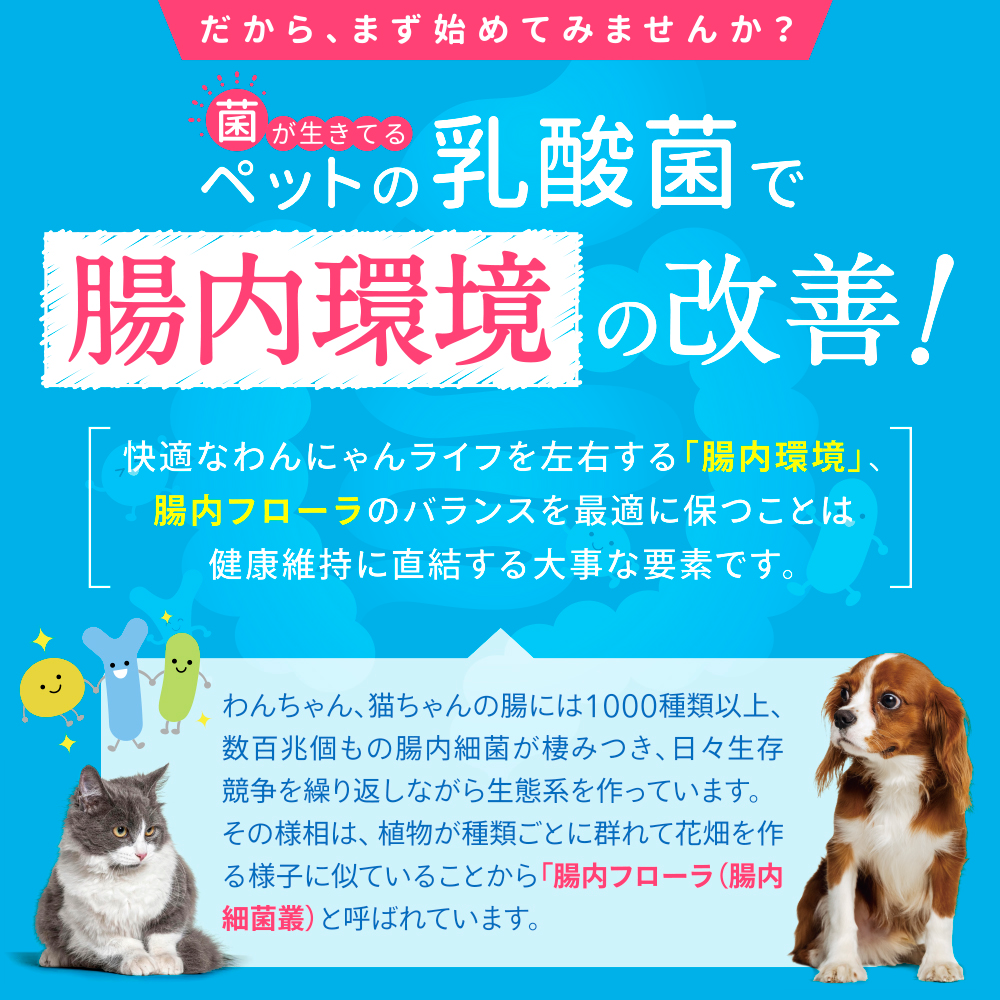 ݰ90ǯϷݥ᡼ȶƱȯۡڥ᡼б۸ǭѡڥåȤݡ30ˡ60γ