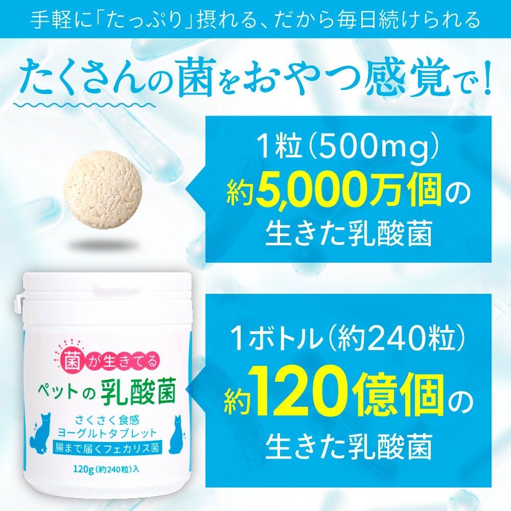 ݰ90ǯϷݥ᡼ȶƱȯۡڥ᡼б۸ǭѡڥåȤݡ30ˡ60γ