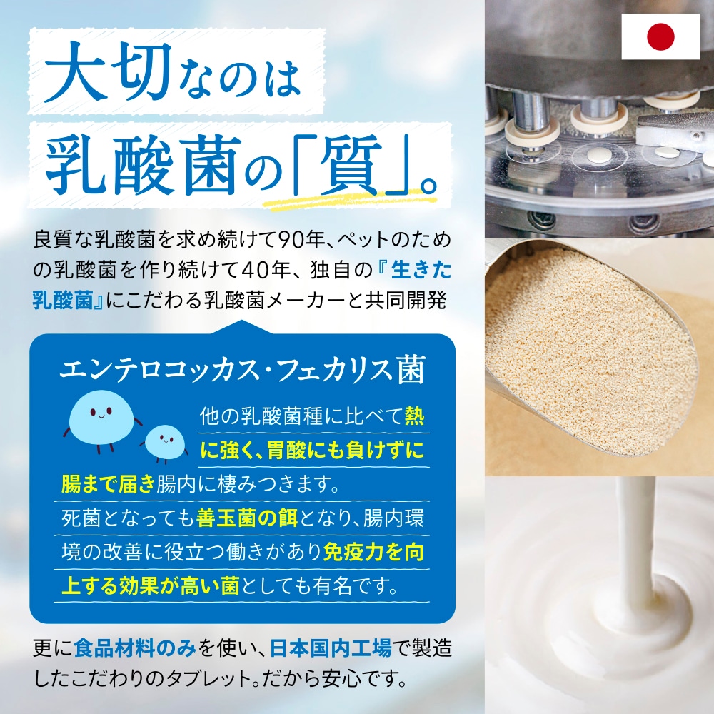 ݰ90ǯϷݥ᡼ȶƱȯۡڥ᡼б۸ǭѡڥåȤݡ30ˡ60γ