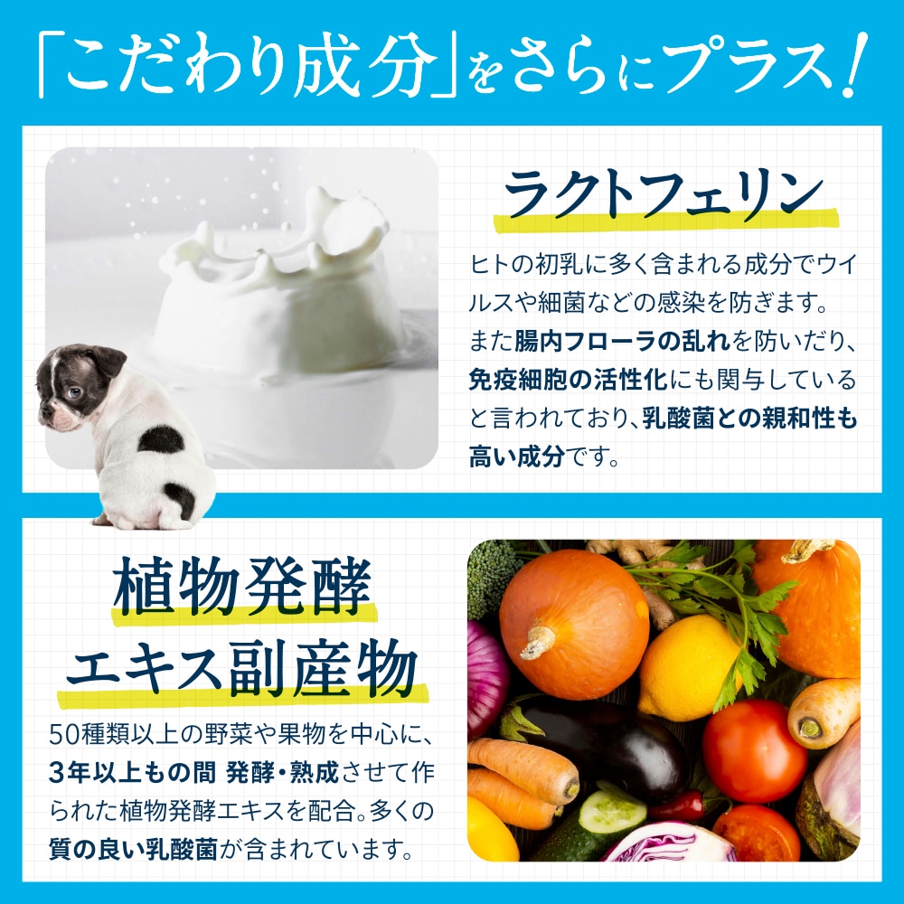 ݰ90ǯϷݥ᡼ȶƱȯۡڥ᡼б۸ǭѡڥåȤݡ30ˡ60γ