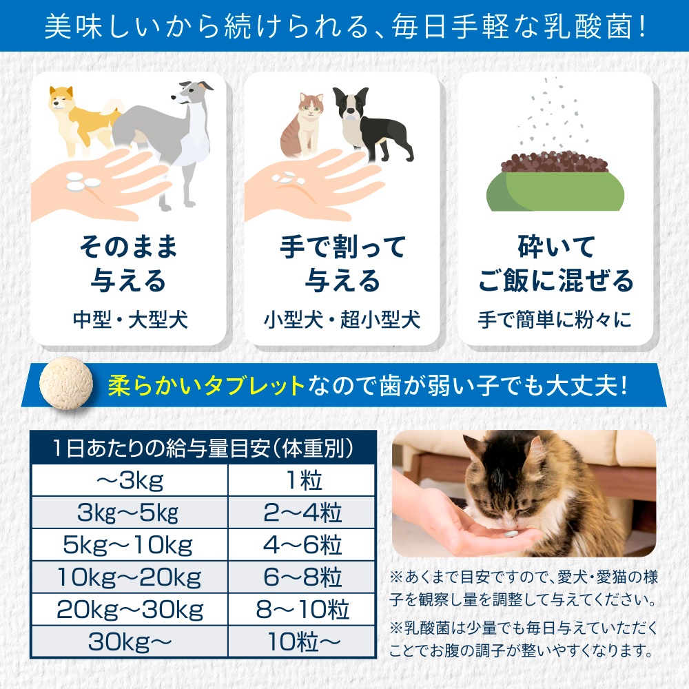 ݰ90ǯϷݥ᡼ȶƱȯۡڥ᡼б۸ǭѡڥåȤݡ30ˡ60γ