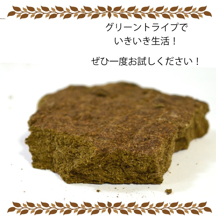 ��15��OFF��ð�����������꡼��ȥ饤��