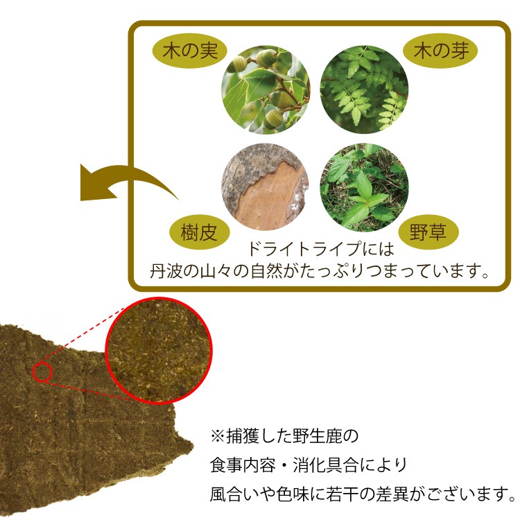 ��15��OFF��ð�����������꡼��ȥ饤��