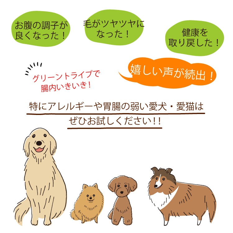 ��15��OFF��ð�����������꡼��ȥ饤��