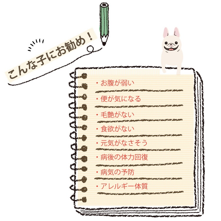 ��15��OFF��ð�����������꡼��ȥ饤��