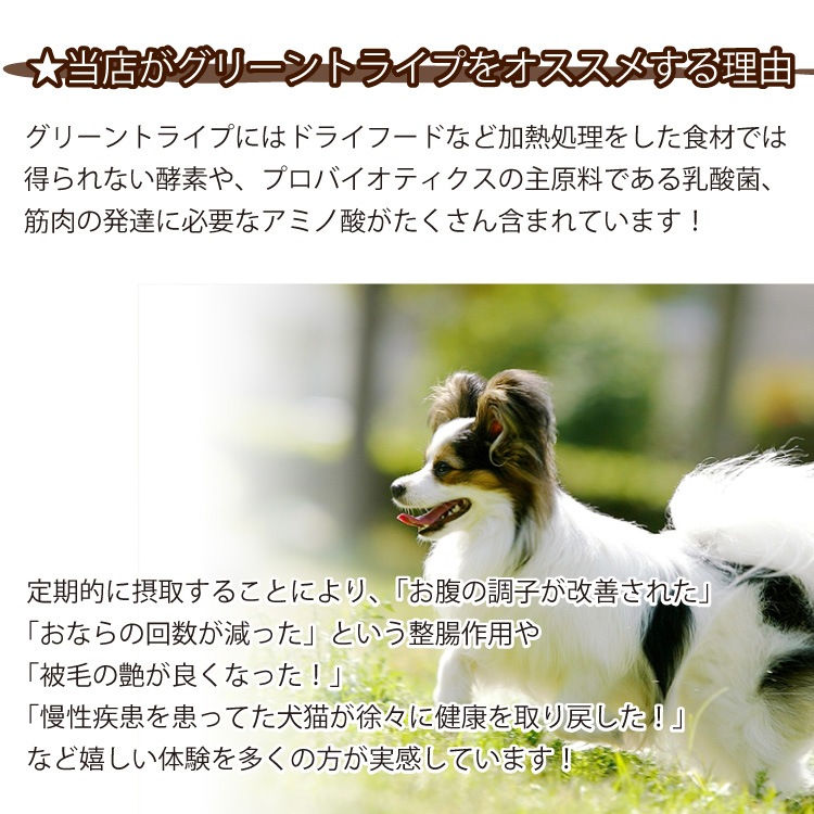 ��15��OFF��ð�����������꡼��ȥ饤��