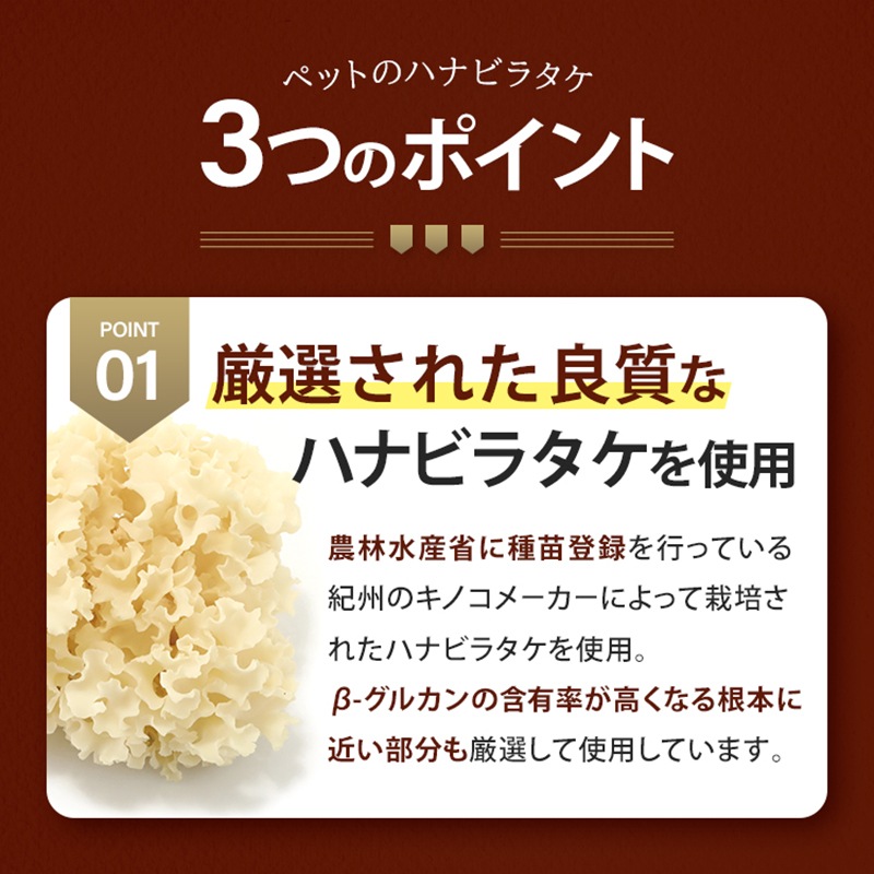 ����Ź���ǰ��͡�5��OFF�ۥڥåȤΥϥʥӥ饿��2�ĥ��åȡڥ᡼��������̵����