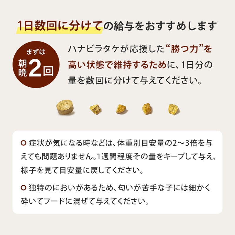 ����Ź���ǰ��͡�5��OFF�ۥڥåȤΥϥʥӥ饿��2�ĥ��åȡڥ᡼��������̵����