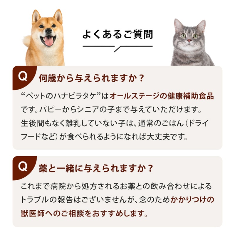 ����Ź���ǰ��͡�5��OFF�ۥڥåȤΥϥʥӥ饿��2�ĥ��åȡڥ᡼��������̵����