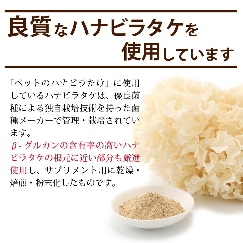 Źǰ͡20OFFۥڥåȤΥϥʥӥ饿3ĥåȡڥ᡼̵