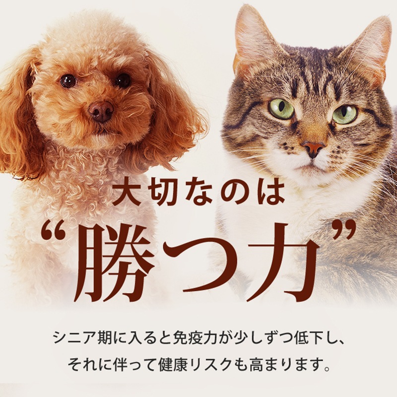 ����Ź���ǰ��͡�15��OFF�ۥڥåȤΥϥʥӥ饿��3�ĥ��åȡڥ᡼��������̵����