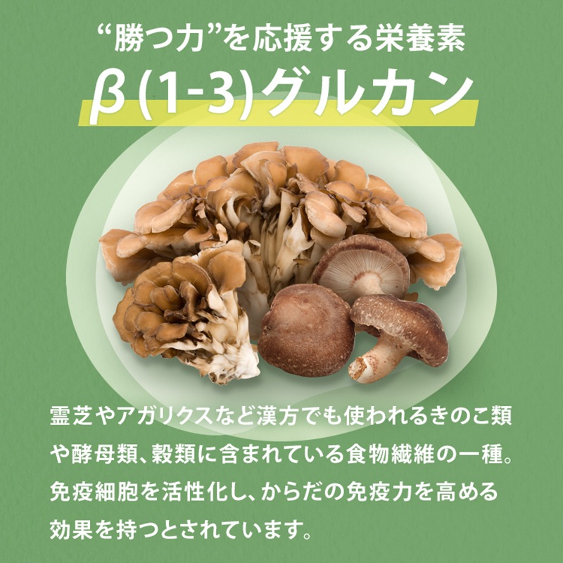 ����Ź���ǰ��͡�15��OFF�ۥڥåȤΥϥʥӥ饿��3�ĥ��åȡڥ᡼��������̵����