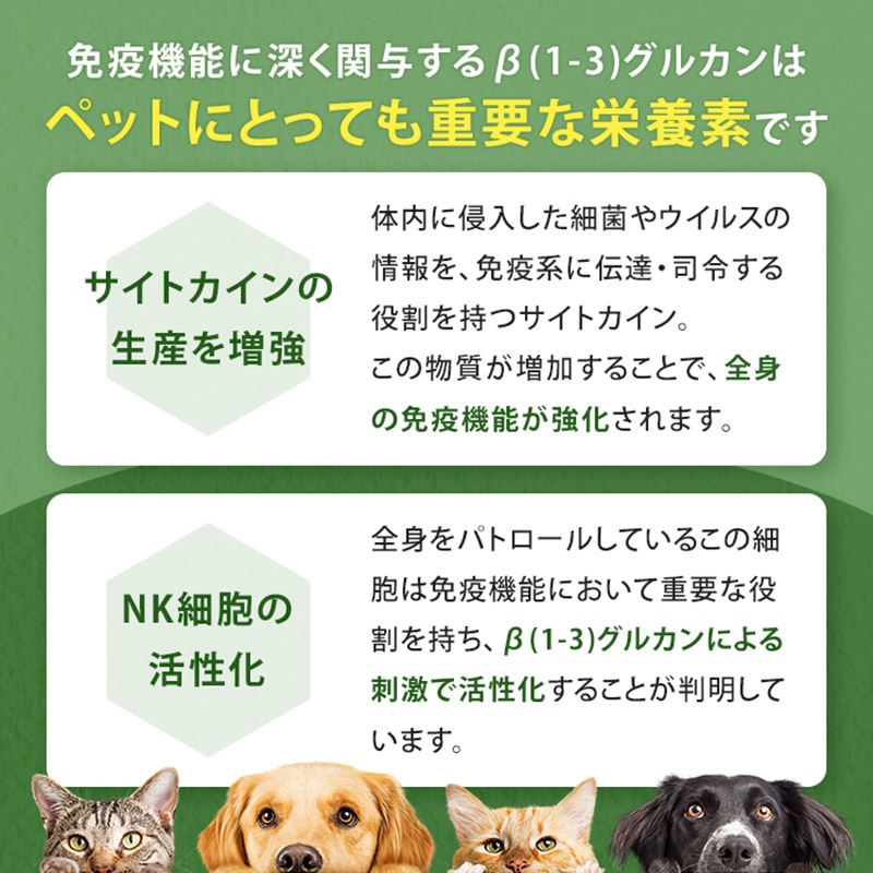 ����Ź���ǰ��͡�15��OFF�ۥڥåȤΥϥʥӥ饿��3�ĥ��åȡڥ᡼��������̵����