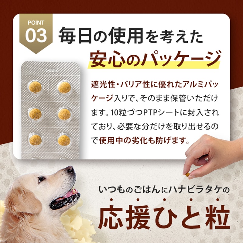 ����Ź���ǰ��͡�15��OFF�ۥڥåȤΥϥʥӥ饿��3�ĥ��åȡڥ᡼��������̵����