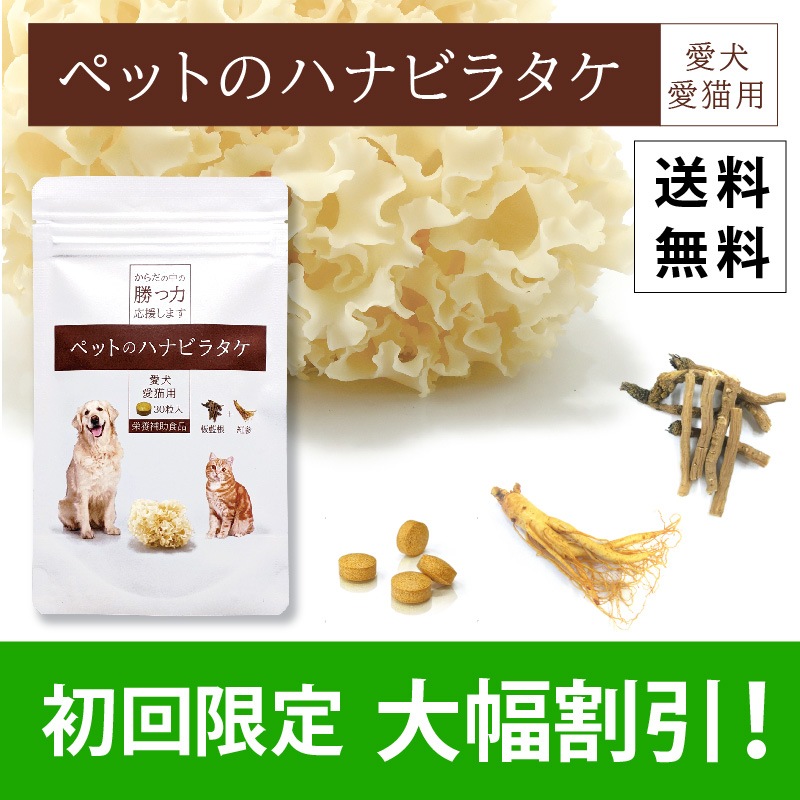 ڤۥڥåȤΥϥʥӥ饿ʽ/Ӱ¤Ȥʤޤ