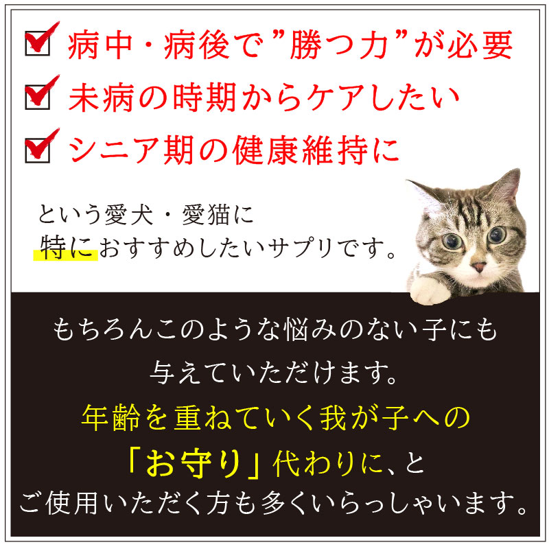 ڤۥڥåȤΥϥʥӥ饿ʽ/Ӱ¤Ȥʤޤ