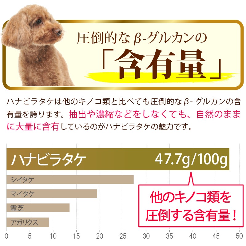 ڤۥڥåȤΥϥʥӥ饿ʽ/Ӱ¤Ȥʤޤ