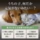 �ڤ���ۥڥåȤΥϥʥӥ饿���ʽ�����/�����Ӱ��¤�Ȥʤ�ޤ���