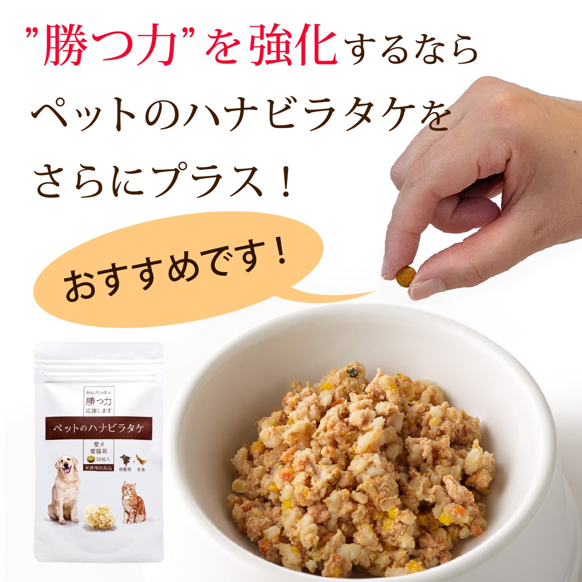 ��1�Ĥ��ޤ��ۤ������ΰ�������10�ĤޤȤ��㤤