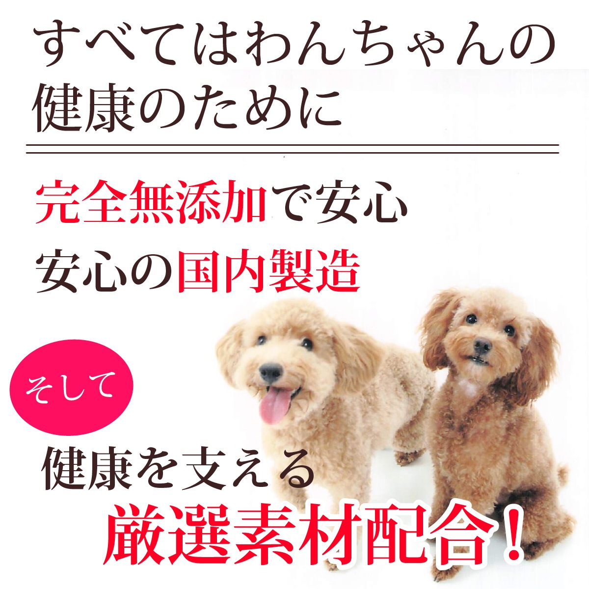 ��1�Ĥ��ޤ��ۤ������ΰ�������10�ĤޤȤ��㤤