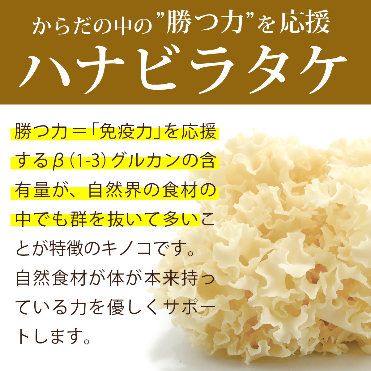 ��1�Ĥ��ޤ��ۤ������ΰ�������10�ĤޤȤ��㤤