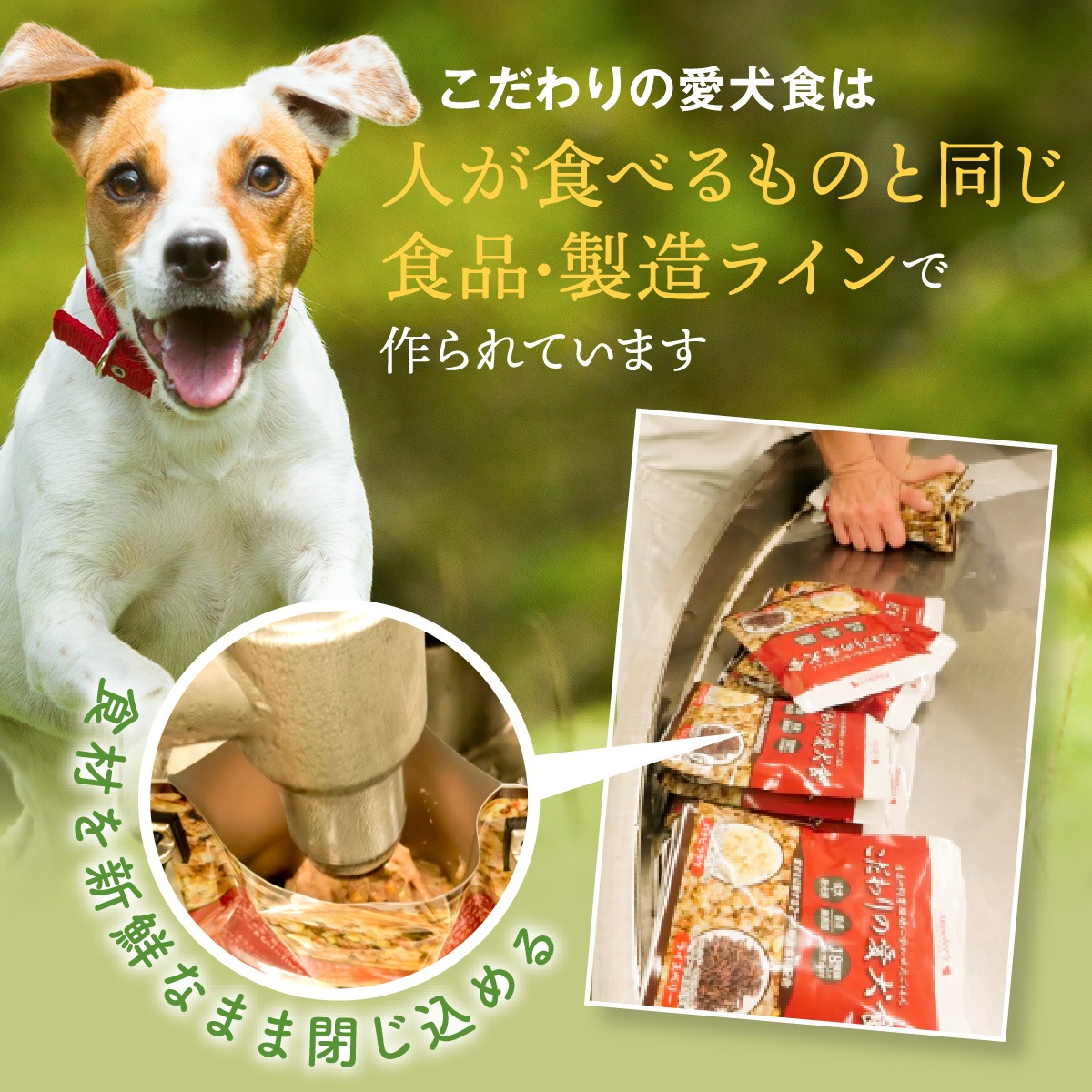 ��1�Ĥ��ޤ��ۤ������ΰ�������10�ĤޤȤ��㤤