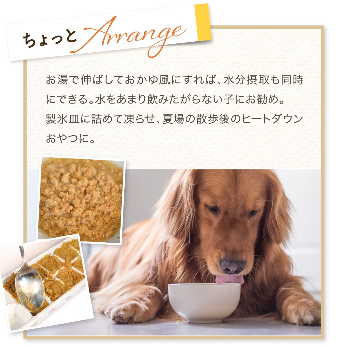 ��1�Ĥ��ޤ��ۤ������ΰ�������10�ĤޤȤ��㤤