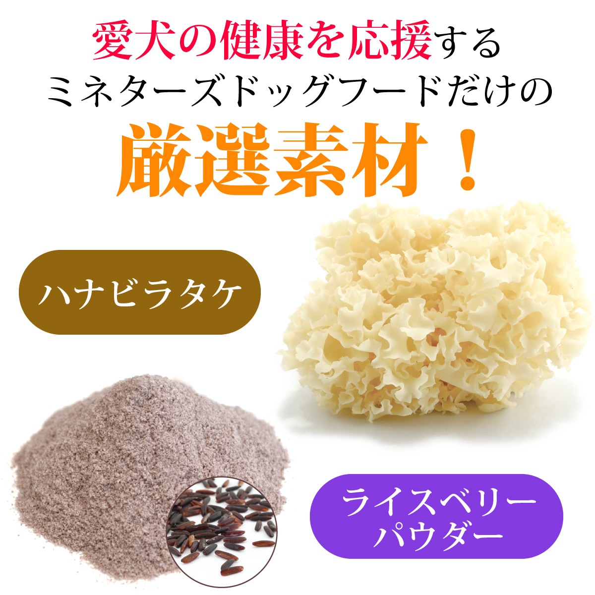 ��3�Ĥ��ޤ��ۤ������ΰ�������30�ĤޤȤ��㤤