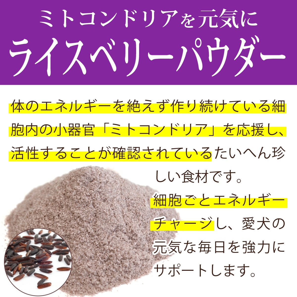 ��3�Ĥ��ޤ��ۤ������ΰ�������30�ĤޤȤ��㤤