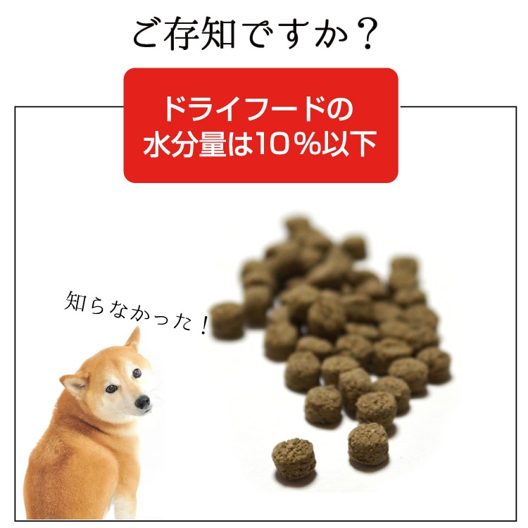 ڥåȤǤۥХ륨ɡ3602ĥå