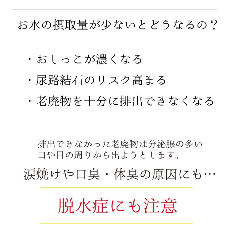 ڥåȤǤۥХ륨ɡ3602ĥå