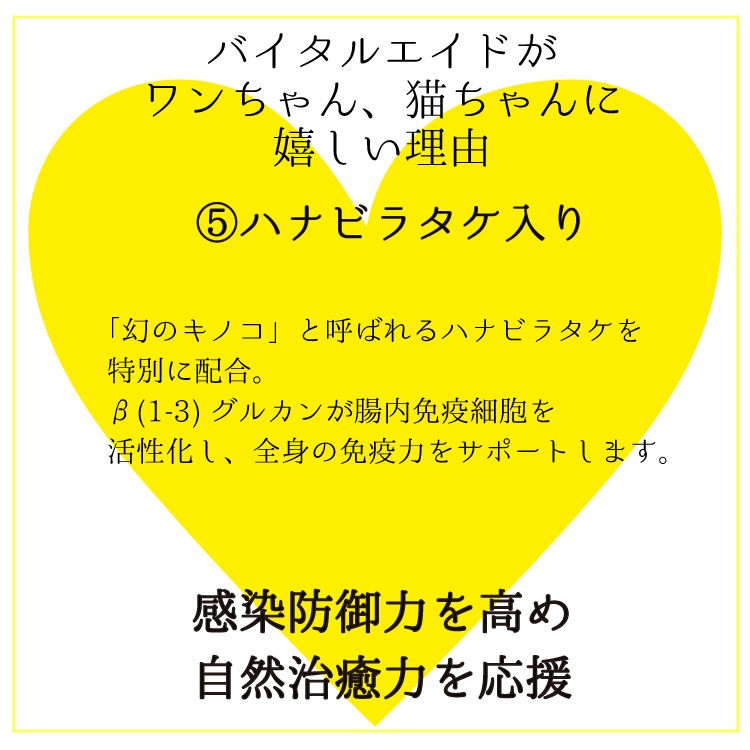 ڥåȤǤۥХ륨ɡ3602ĥå