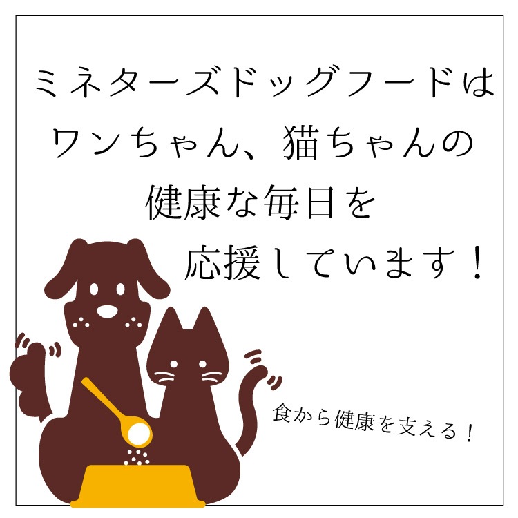 ڥåȤǤۥХ륨ɡ3602ĥå