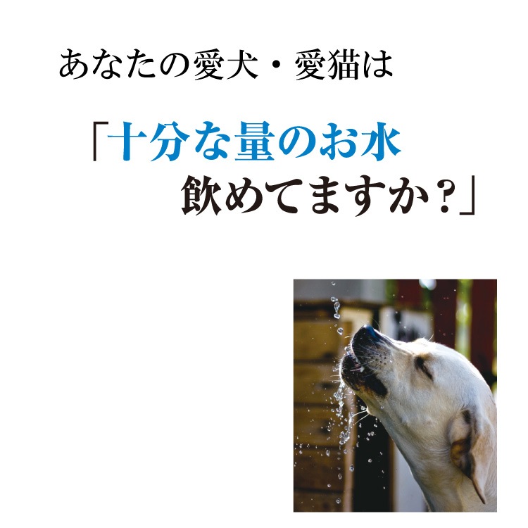 �ڥ᡼�����б��۸�ǭ�ѥߥ륯���ץ���ȡ��Х����륨���ɡ�50���