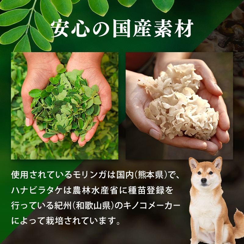 ��3�ޤ��ޤ��ۤ����������ǥꡡ30�ĤޤȤ��㤤