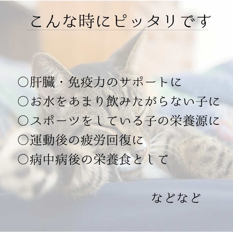 �ڥ᡼�����б��۸�ǭ�ѥߥ륯���ץ���ȡ��Х����륨���ɡ�180���